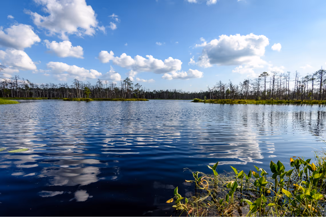 Florida water resources and freshwater reservoir